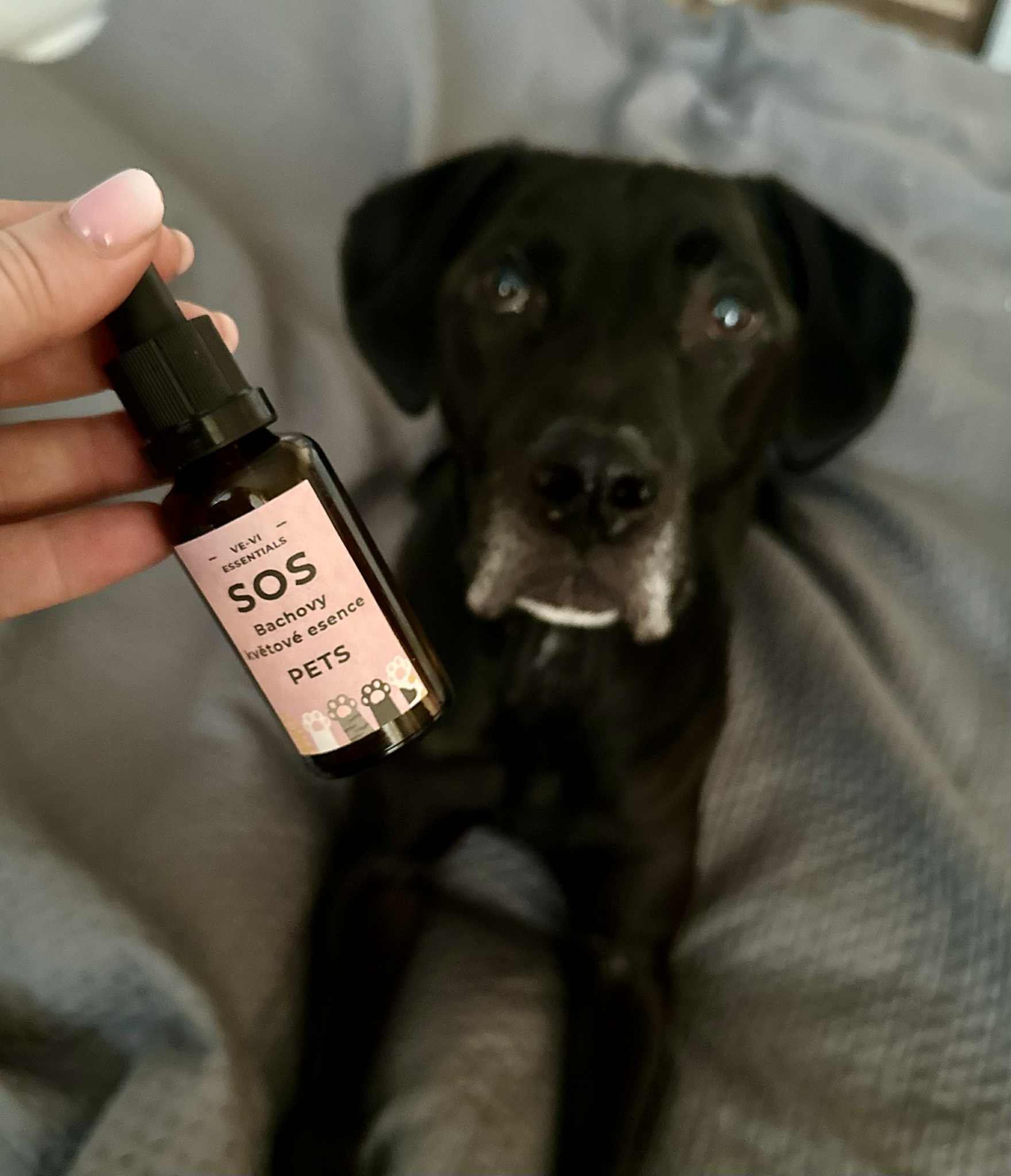 SOS PETS – Bachovy květové esence pro zvířata - Obrázek 2