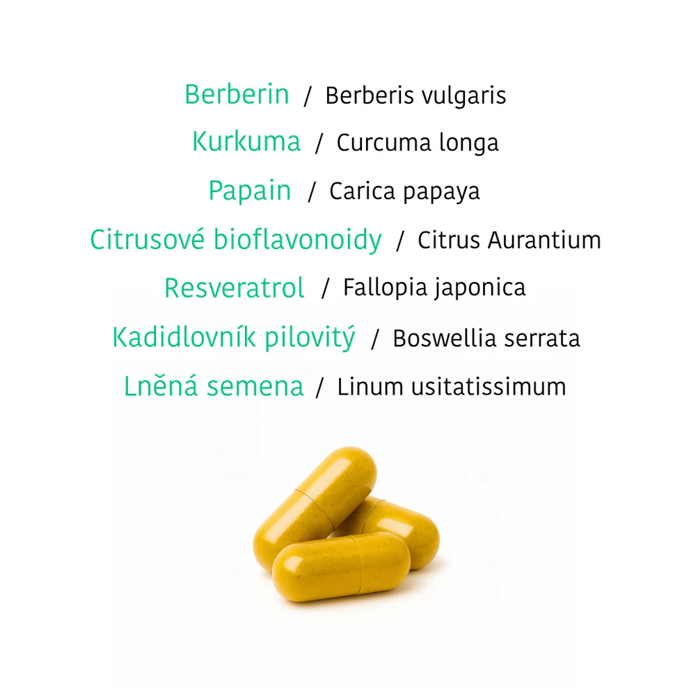 GUT feeling + GIT comfort - Obrázek 3