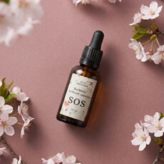 Bachovy květové esence